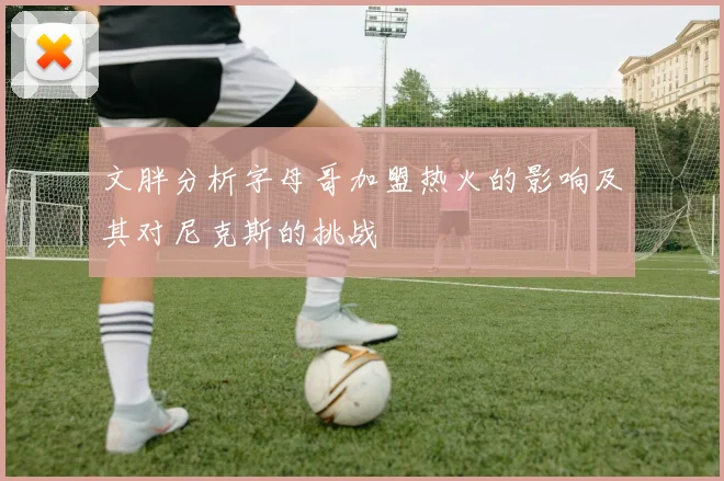 文胖分析字母哥加盟热火的影响及其对尼克斯的挑战